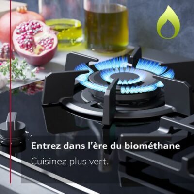 table gaz neff n 70, 60 cm, inox t26cip8n0