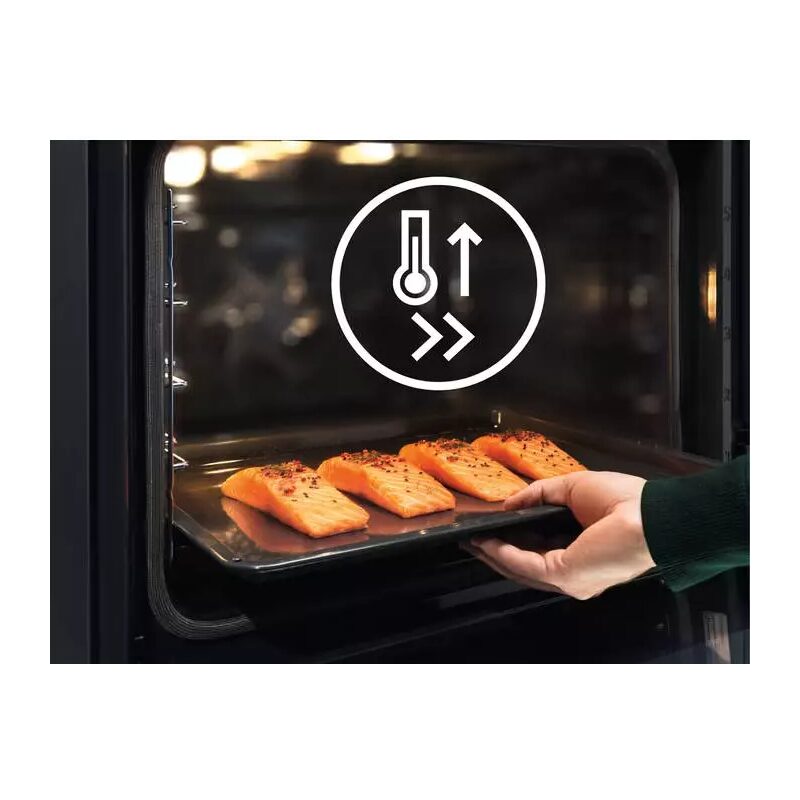 Plaque de saumon dans un four chaud