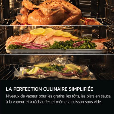 four encastrable vapeur aeg 9000 pro assist avec steampro nbp9s831at