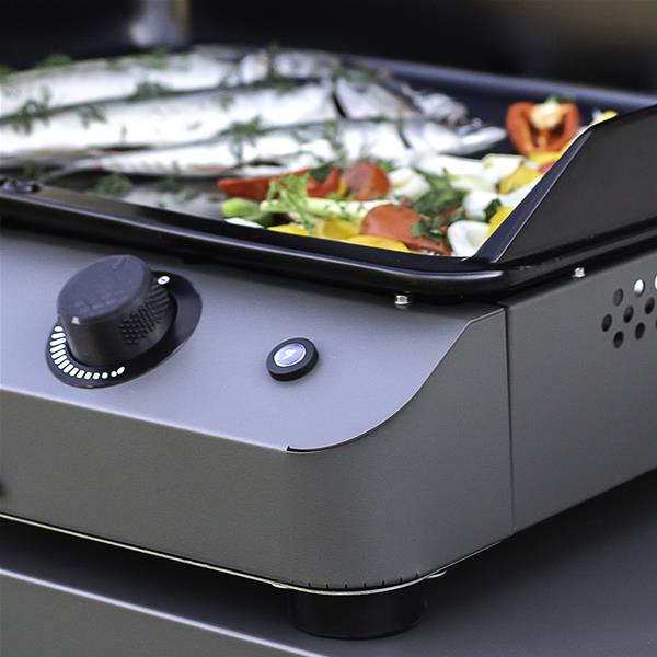 eno plancha fusion 60 gris cargo gaz 5 kw 2 brûleurs fonte émaillée