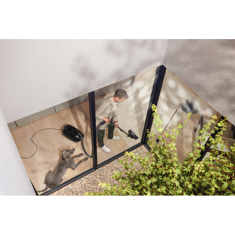 miele guard m1 cat & dog flex aspirateur traîneau avec sac 890w spécial animaux