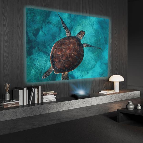 Tortue marine projetée sur mur moderne
