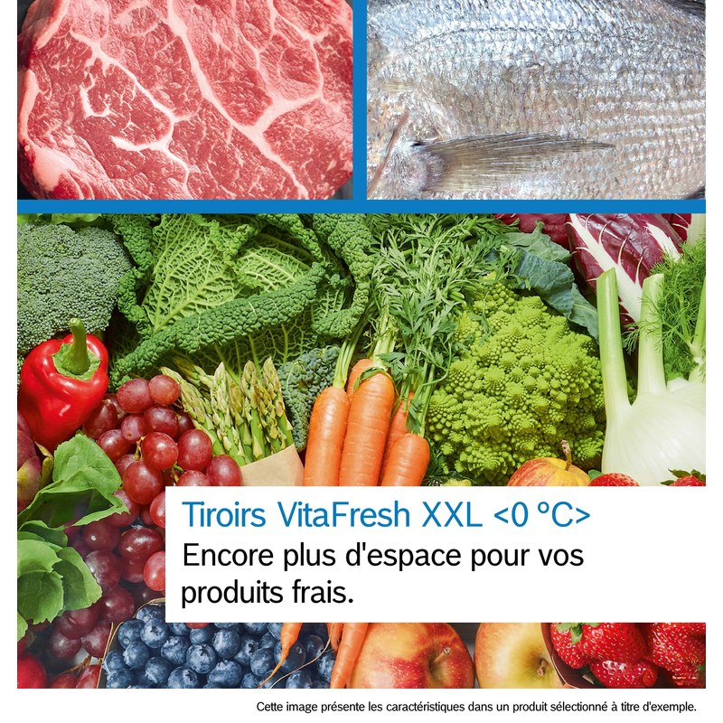 Viande, poisson et légumes frais variés